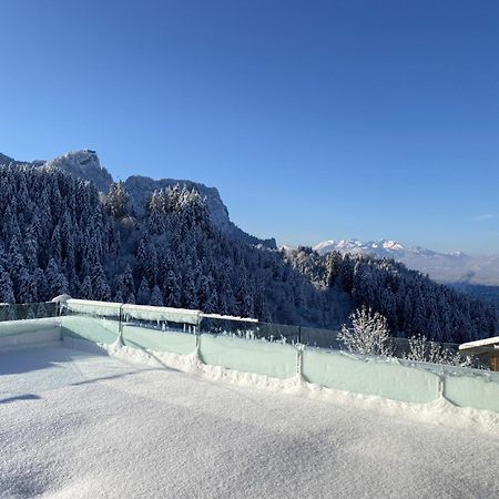 Wohnung Staufenblick Und Wohnung Firstblick 多恩比恩 外观 照片