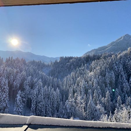 Wohnung Staufenblick Und Wohnung Firstblick 多恩比恩 外观 照片