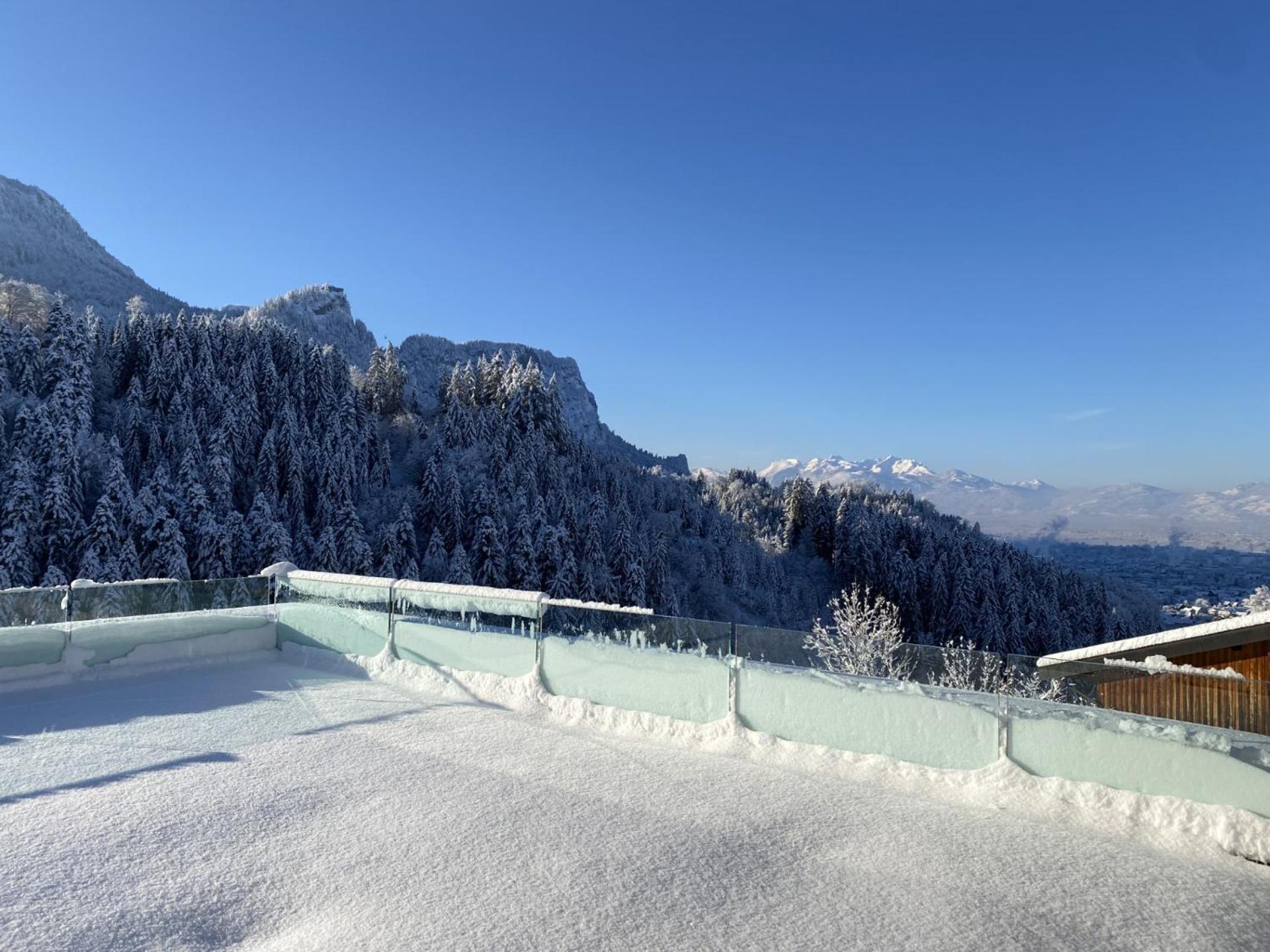 Wohnung Staufenblick Und Wohnung Firstblick 多恩比恩 外观 照片