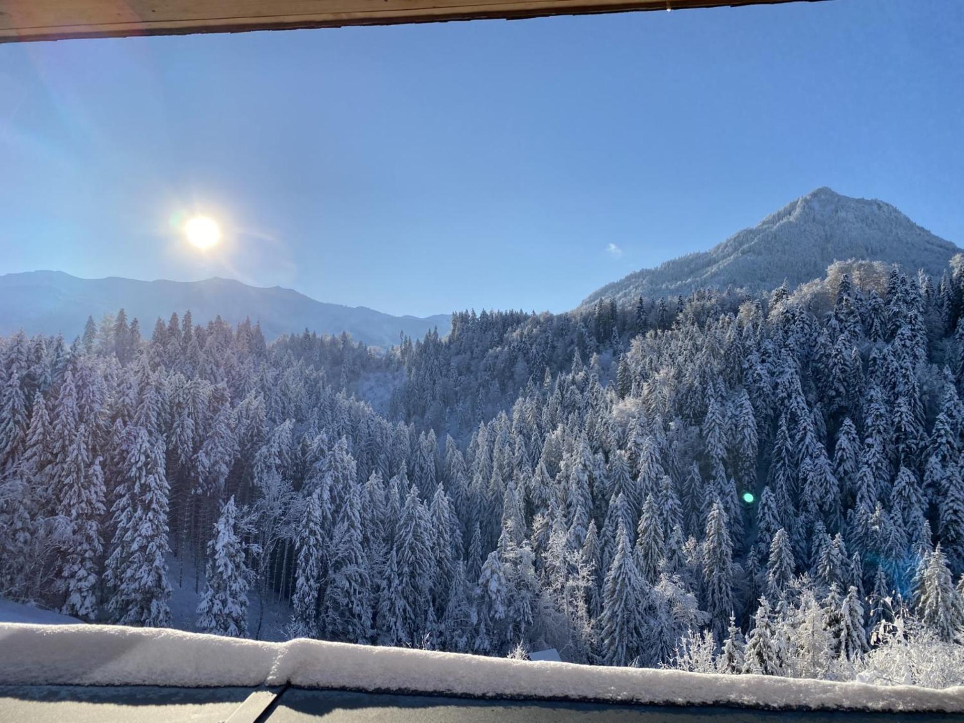 Wohnung Staufenblick Und Wohnung Firstblick 多恩比恩 外观 照片