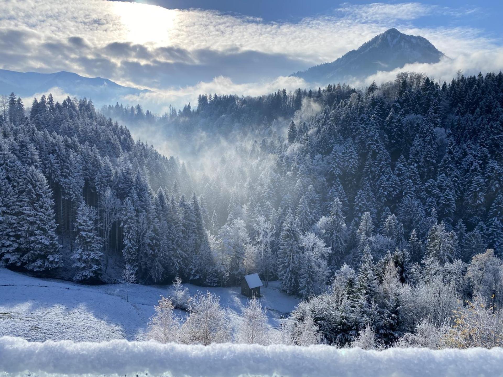 Wohnung Staufenblick Und Wohnung Firstblick 多恩比恩 外观 照片