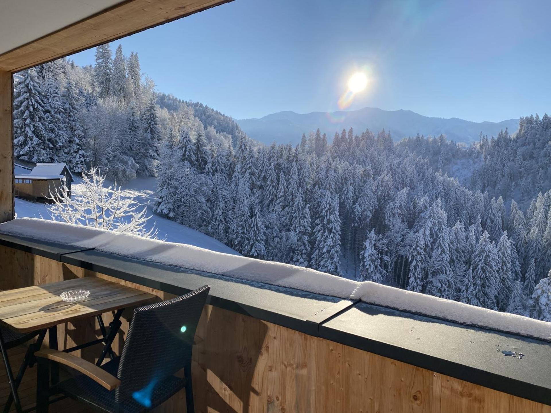 Wohnung Staufenblick Und Wohnung Firstblick 多恩比恩 外观 照片